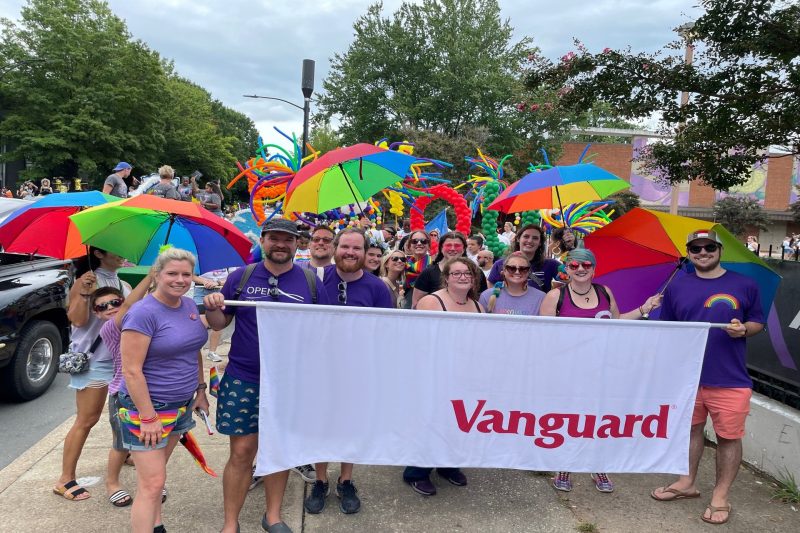 About Vanguard